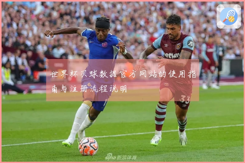 世界杯买球数据官方网站的使用指南与注册流程说明