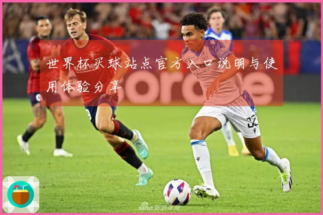 世界杯买球站点官方入口说明与使用体验分享