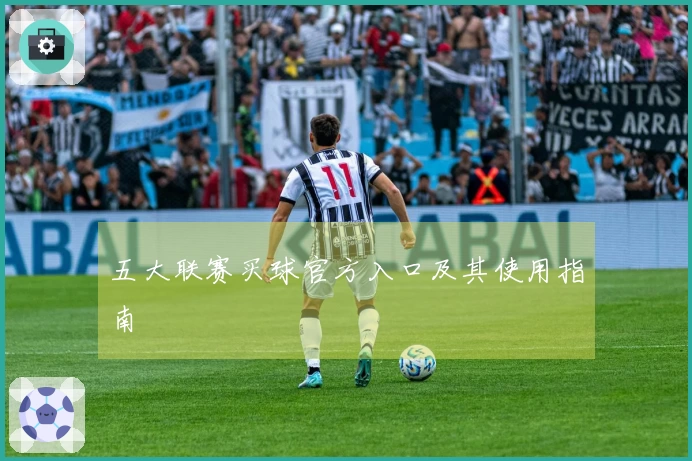 五大联赛买球官方入口及其使用指南