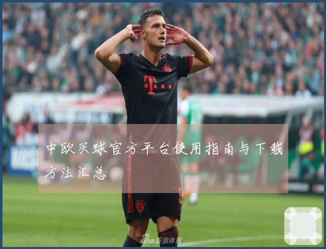 中欧买球官方平台使用指南与下载方法汇总