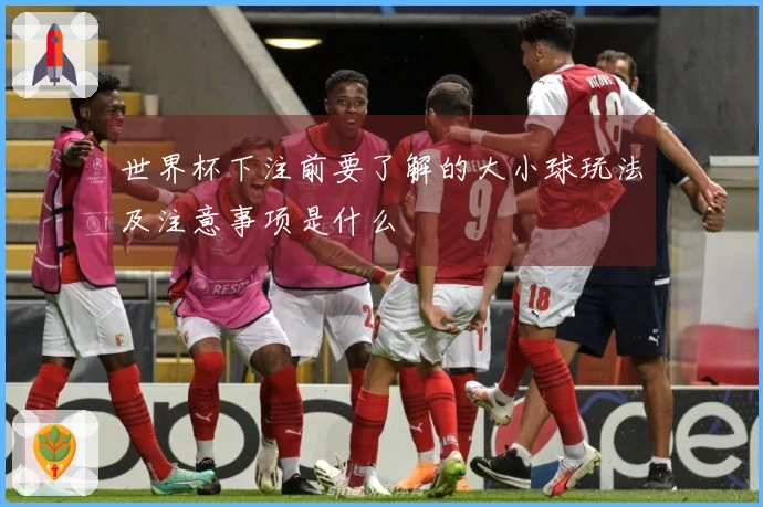 世界杯下注前要了解的大小球玩法及注意事项是什么