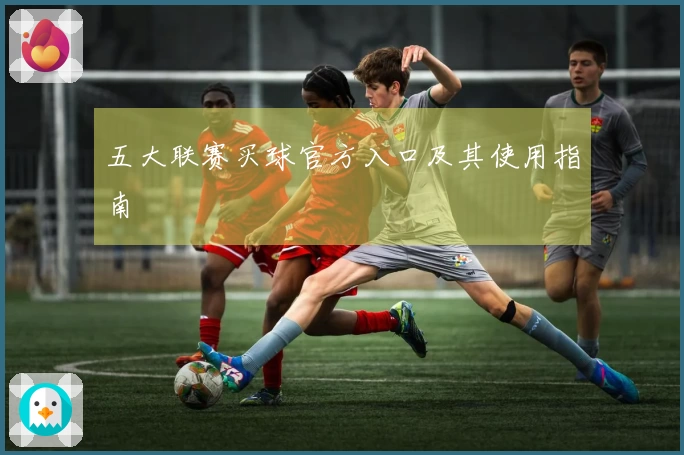 五大联赛买球官方入口及其使用指南