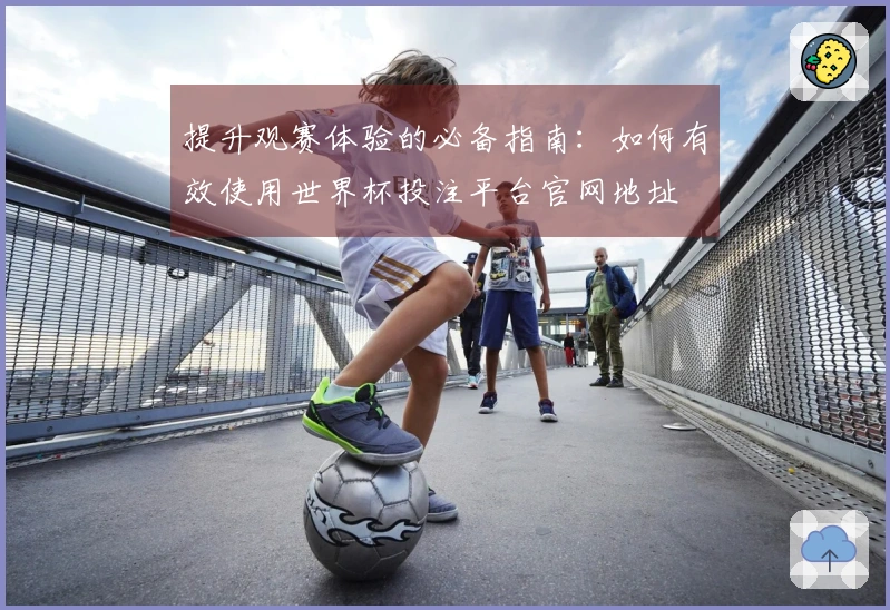 提升观赛体验的必备指南：如何有效使用世界杯投注平台官网地址
