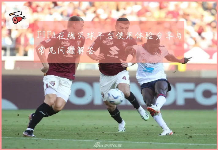 FIFA在线买球平台使用体验分享与常见问题解答