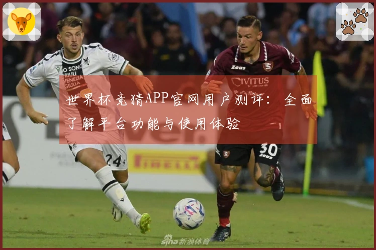 世界杯竞猜APP官网用户测评：全面了解平台功能与使用体验