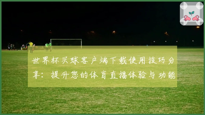 世界杯买球客户端下载使用技巧分享：提升您的体育直播体验与功能指南